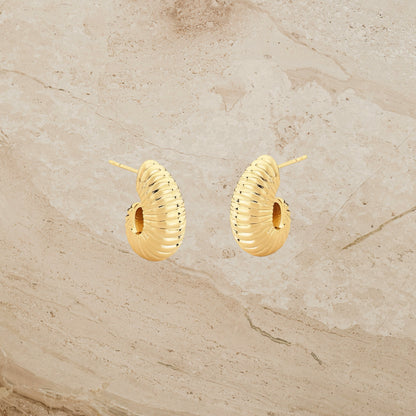 Ripple Twist Hoop Stud Earrings