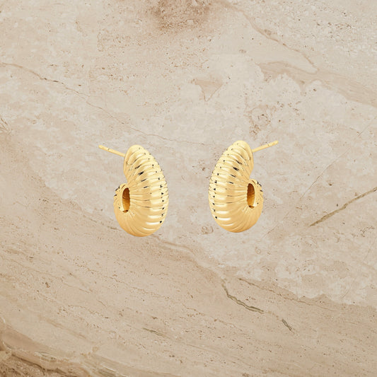 Ripple Twist Hoop Stud Earrings